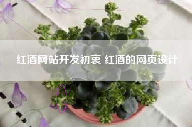 红酒网站开发初衷 红酒的网页设计