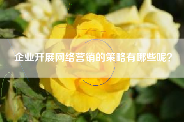 企业开展网络营销的策略有哪些呢？