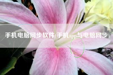 手机电脑同步软件(手机app与电脑同步)