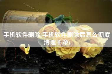 手机软件删除(手机软件删除后怎么彻底清理干净)