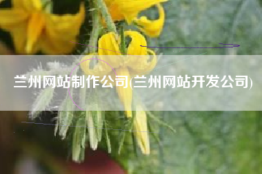兰州网站制作公司(兰州网站开发公司)