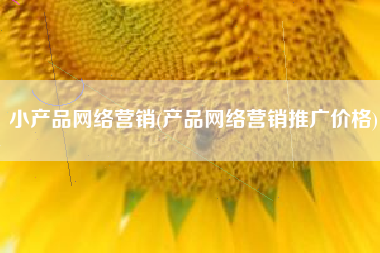 小产品网络营销(产品网络营销推广价格)