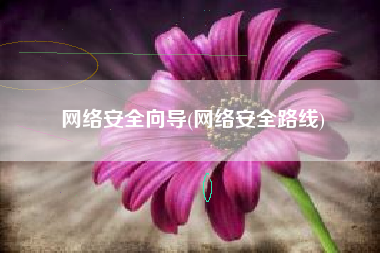 网络安全向导(网络安全路线)