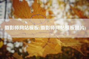 摄影师网站模板(摄影师网站模板图片)