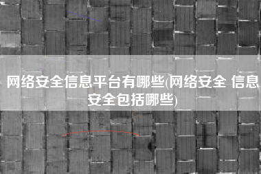 网络安全信息平台有哪些(网络安全 信息安全包括哪些)