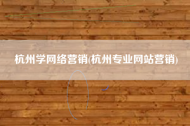 杭州学网络营销(杭州专业网站营销)