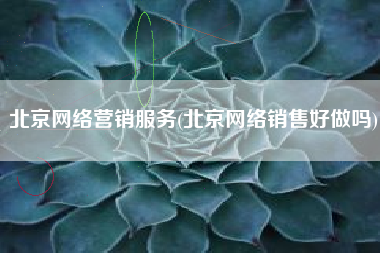 北京网络营销服务(北京网络销售好做吗)
