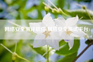 网络安全测评软件(网络安全测试平台)