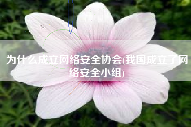 为什么成立网络安全协会(我国成立了网络安全小组)