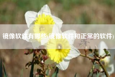 镜像软件有哪些(镜像软件和正常的软件)