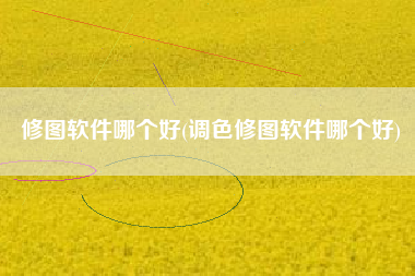 修图软件哪个好(调色修图软件哪个好)