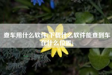 查车用什么软件(下载什么软件能查到车在什么位置)