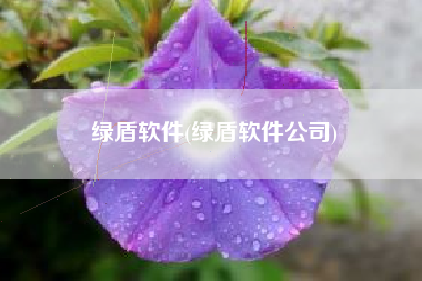 绿盾软件(绿盾软件公司)