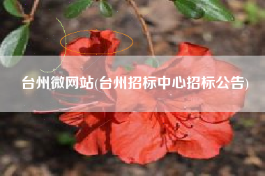 台州微网站(台州招标中心招标公告)
