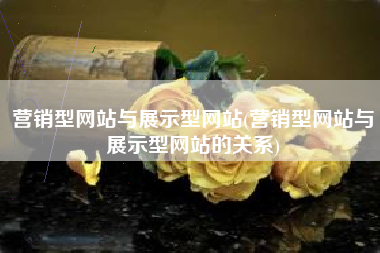 营销型网站与展示型网站(营销型网站与展示型网站的关系)