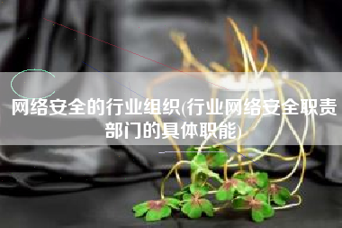 网络安全的行业组织(行业网络安全职责部门的具体职能)