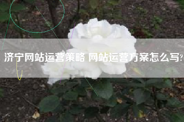 济宁网站运营策略 网站运营方案怎么写?