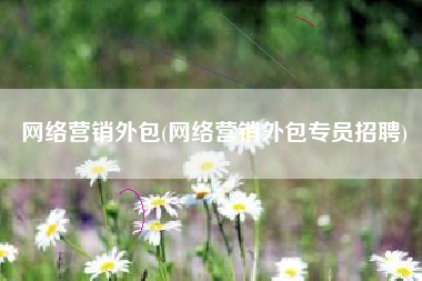 网络营销外包(网络营销外包专员招聘)