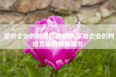 家居企业的网络营销目标(家居企业的网络营销目标有哪些)