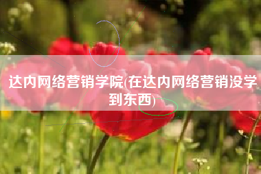 达内网络营销学院(在达内网络营销没学到东西)