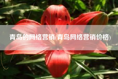 青岛的网络营销(青岛网络营销价格)