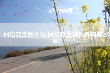 网络安全测评证(网络安全测评机构有哪些)