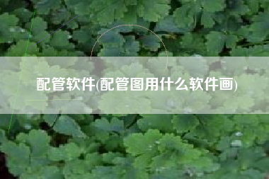 配管软件(配管图用什么软件画)