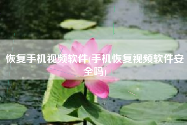 恢复手机视频软件(手机恢复视频软件安全吗)