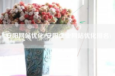 安阳网站优化(安阳企业网站优化排名)