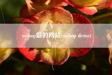 ecshop做的网站(ecshop demo)