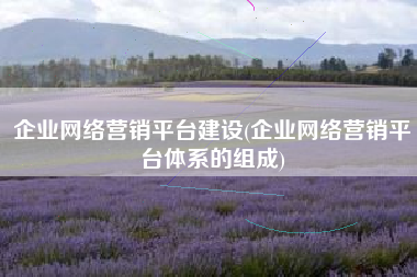 企业网络营销平台建设(企业网络营销平台体系的组成)