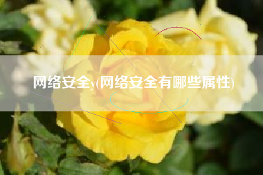 网络安全y(网络安全有哪些属性)