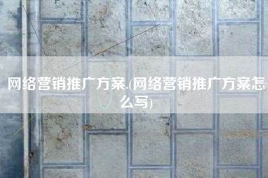 网络营销推广方案.(网络营销推广方案怎么写)
