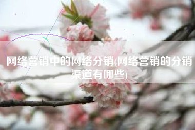 网络营销中的网络分销(网络营销的分销渠道有哪些)