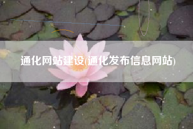 通化网站建设(通化发布信息网站)