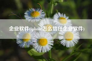企业软件(iphone怎么信任企业软件)