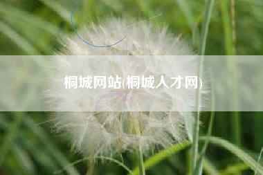 桐城网站(桐城人才网)