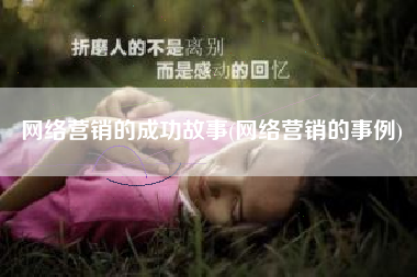网络营销的成功故事(网络营销的事例)