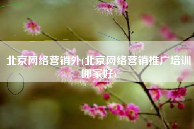 北京网络营销外(北京网络营销推广培训哪家好)
