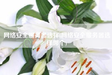 网络安全服务器选择(网络安全服务器选择哪个)