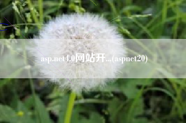 asp.net4.0网站开...(aspnet20)