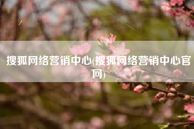 搜狐网络营销中心(搜狐网络营销中心官网)