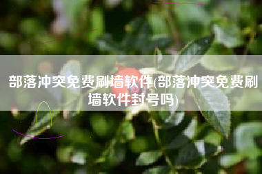 部落冲突免费刷墙软件(部落冲突免费刷墙软件封号吗)