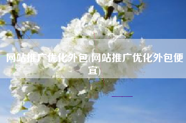 网站推广优化外包(网站推广优化外包便宜)