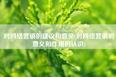 对网络营销的建议和意见(对网络营销的意义和作用的认识)