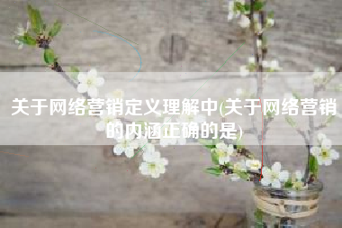 关于网络营销定义理解中(关于网络营销的内涵正确的是)