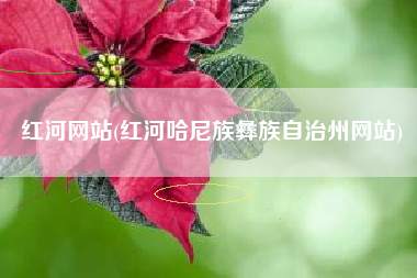 红河网站(红河哈尼族彝族自治州网站)
