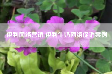 伊利网络营销 伊利牛奶网络促销案例
