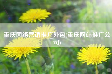 重庆网络营销推广外包(重庆网站推广公司)