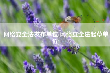 网络安全法发布单位(网络安全法起草单位)